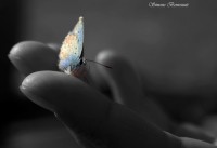 /album/poesia-visiva/estate-2008-119ps-3-jpg/
